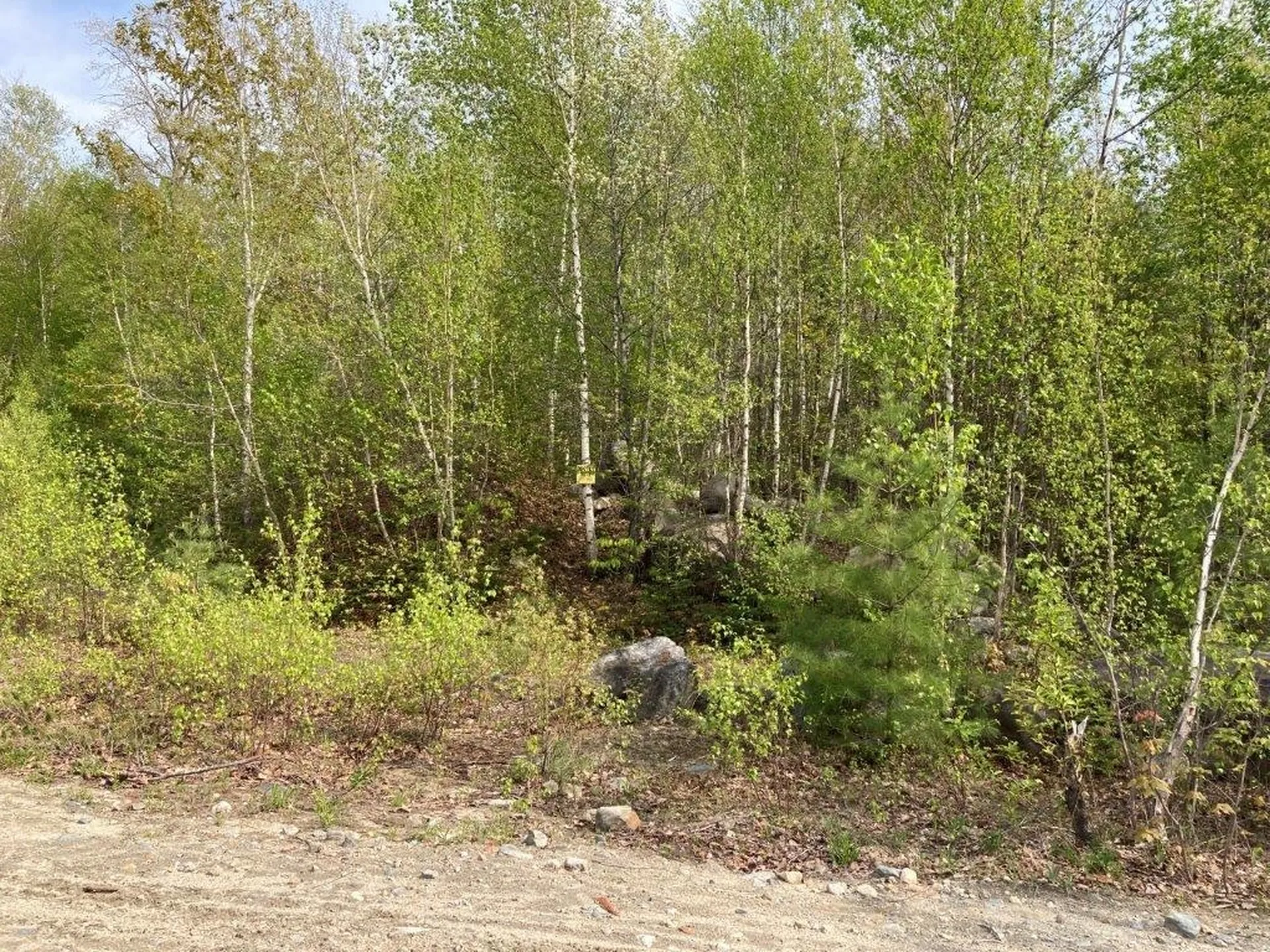0 Birchwood Lane Canaan NH 03741