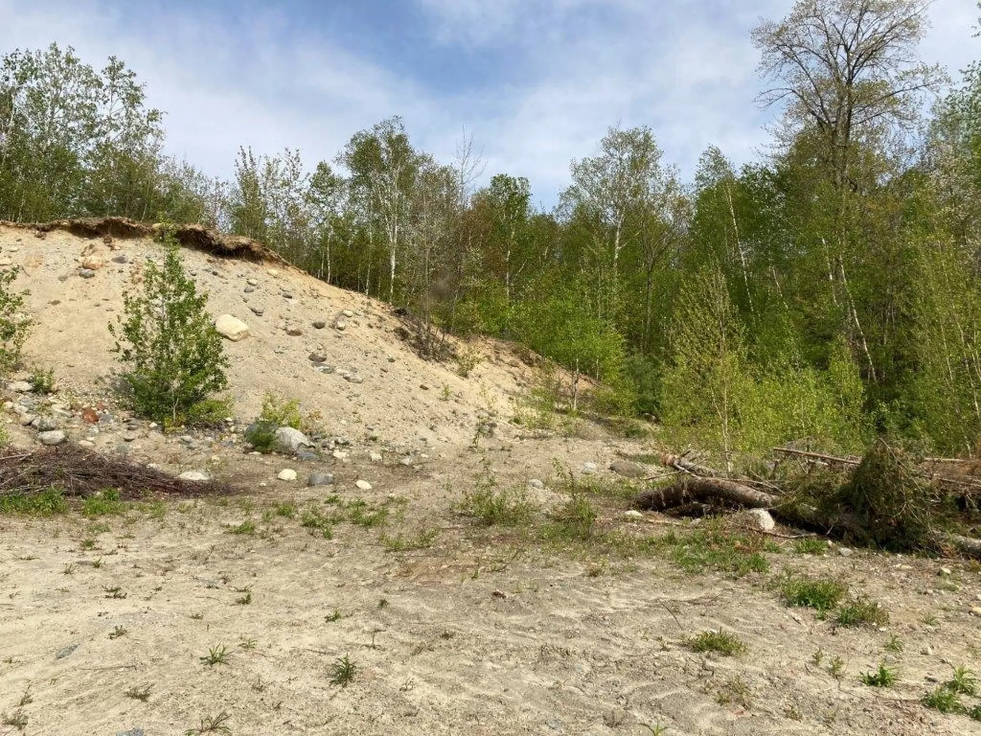 0 Birchwood Lane Canaan NH 03741