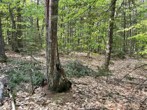 20 Barrington Circle Ossipee NH 03814