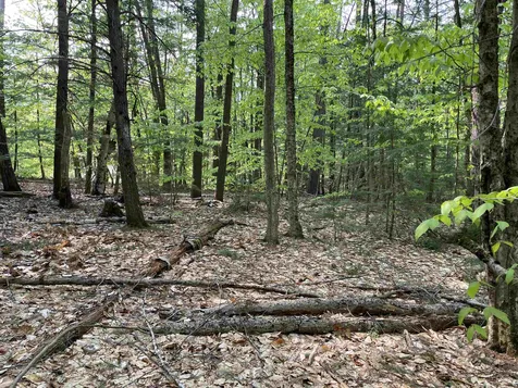 20 Barrington Circle Ossipee NH 03814