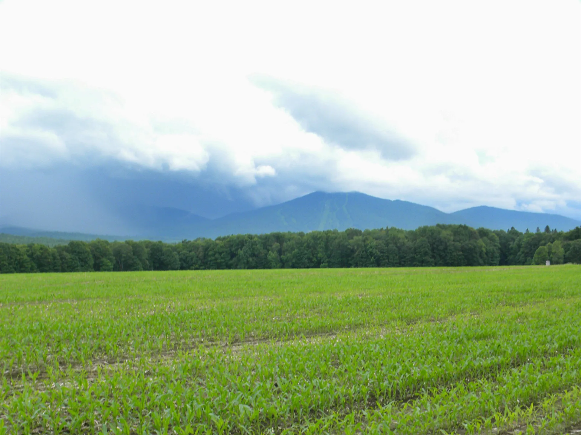 - Sugarhouse Road Burke VT 05871