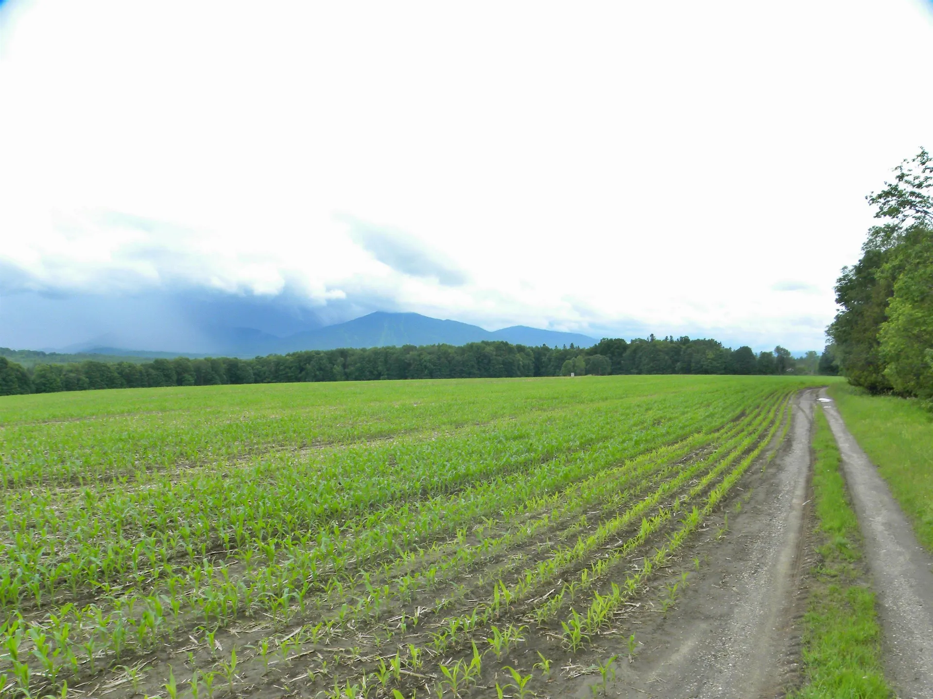 - Sugarhouse Road Burke VT 05871