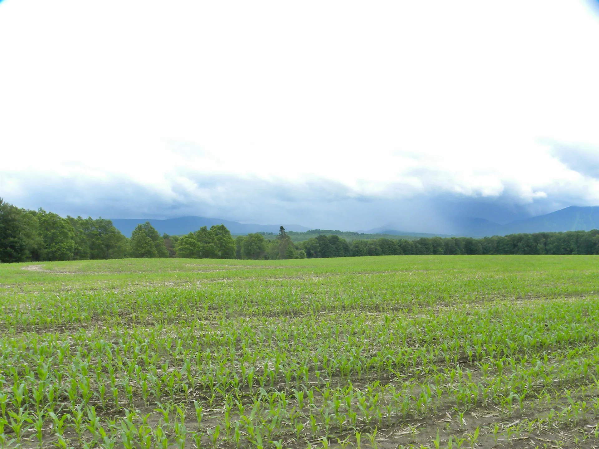 - Sugarhouse Road Burke VT 05871