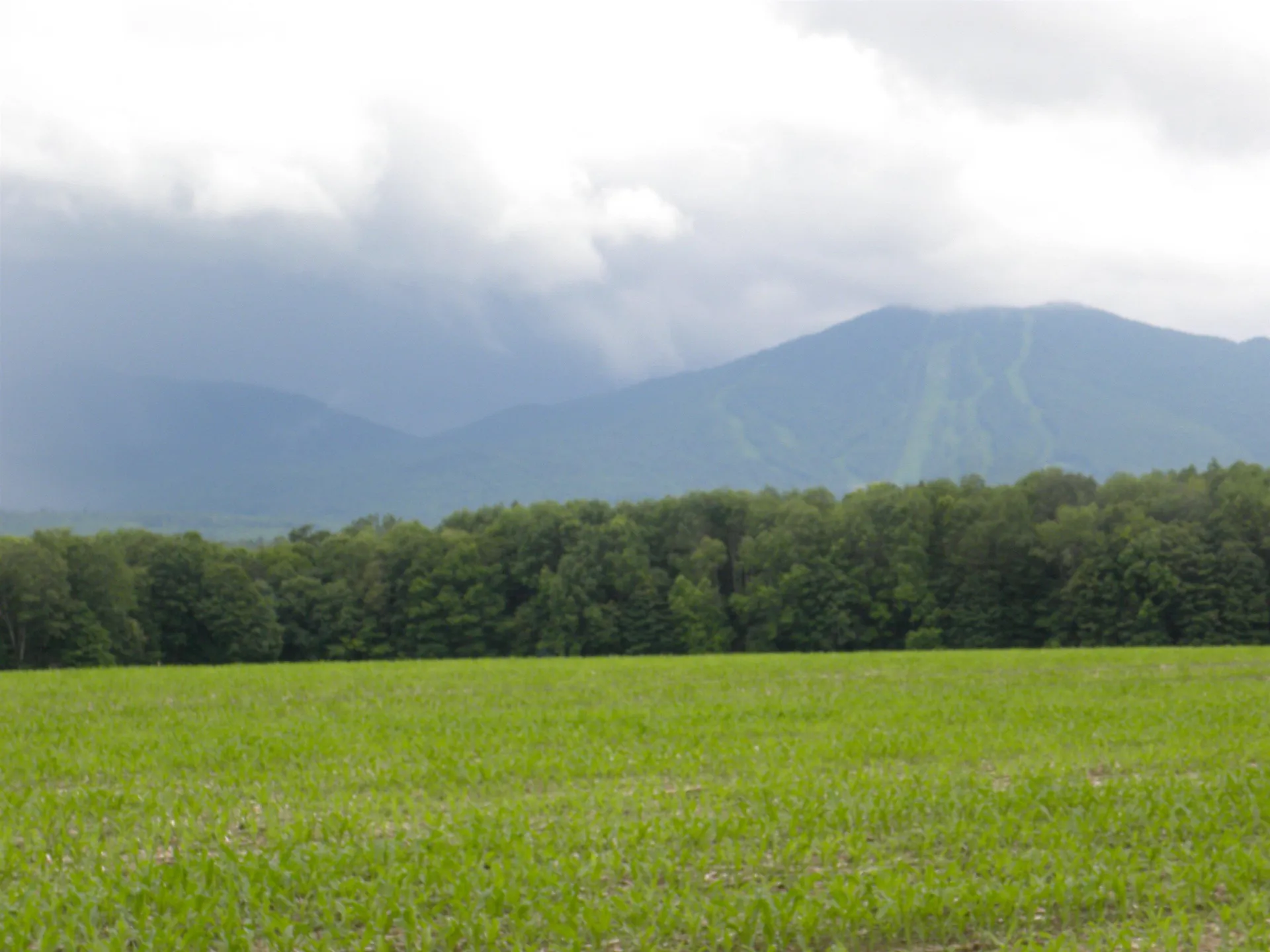 - Sugarhouse Road Burke VT 05871