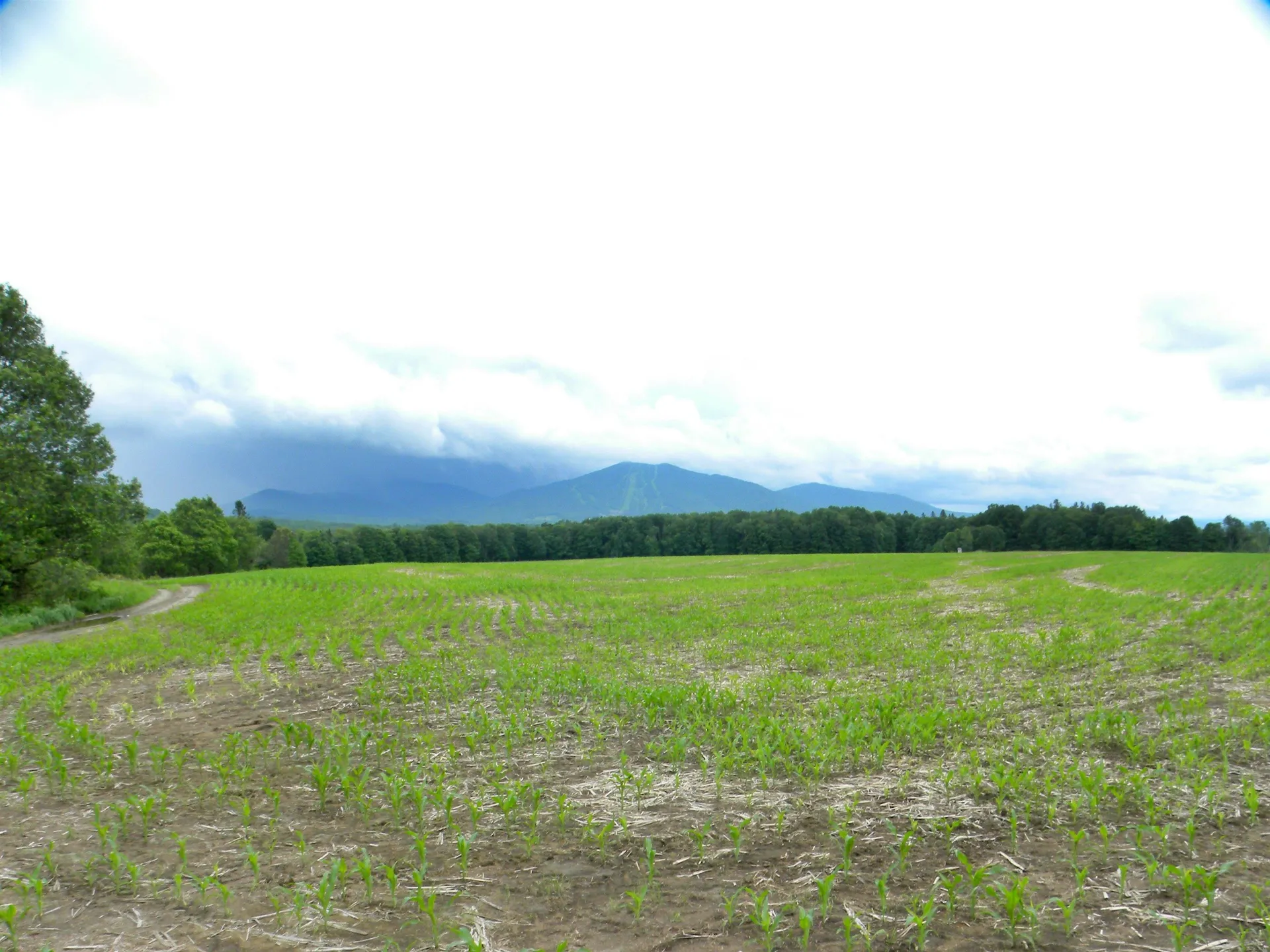 - Sugarhouse Road Burke VT 05871