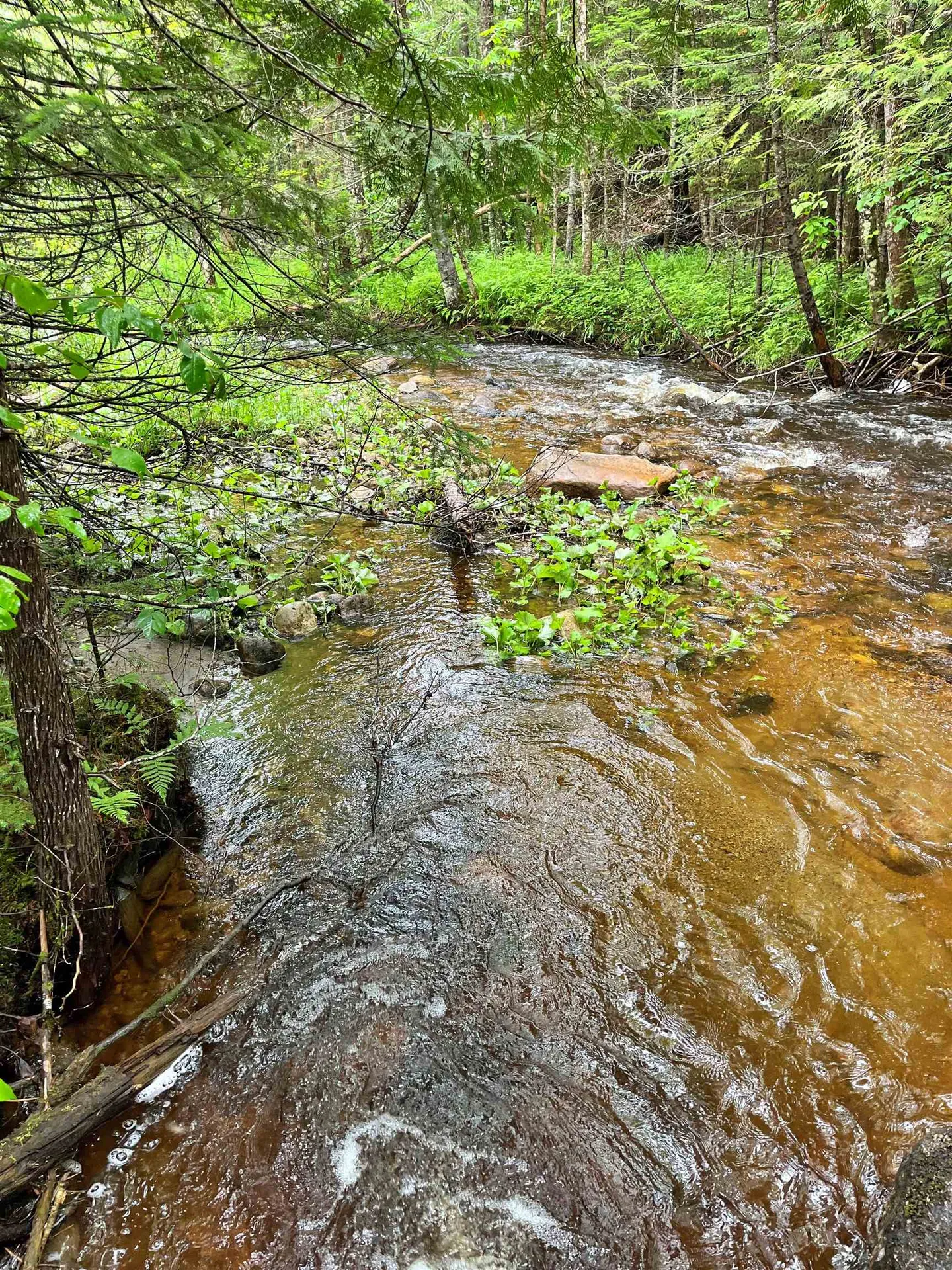 - Sugarhouse Road Burke VT 05871