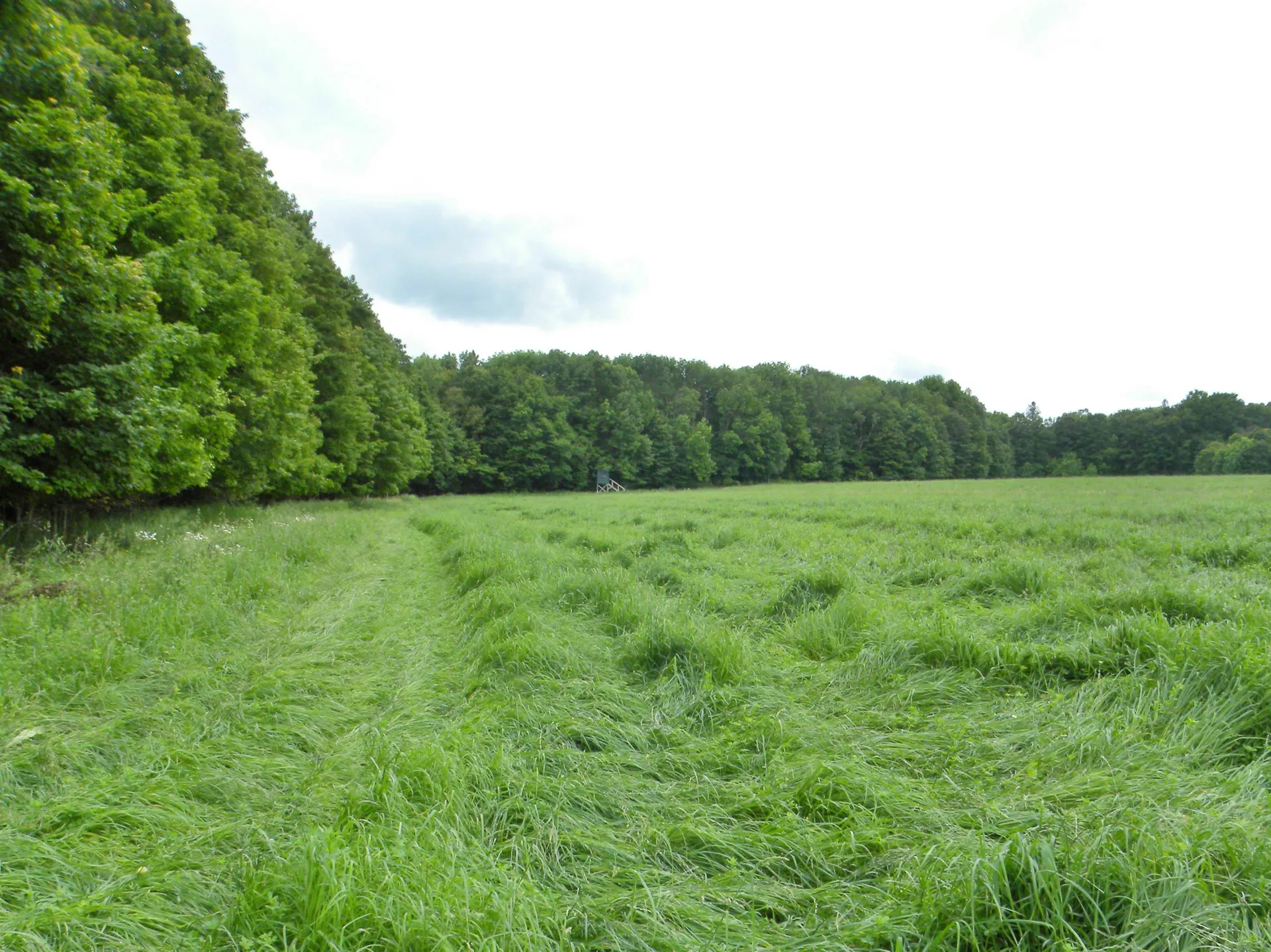 - Sugarhouse Road Burke VT 05871