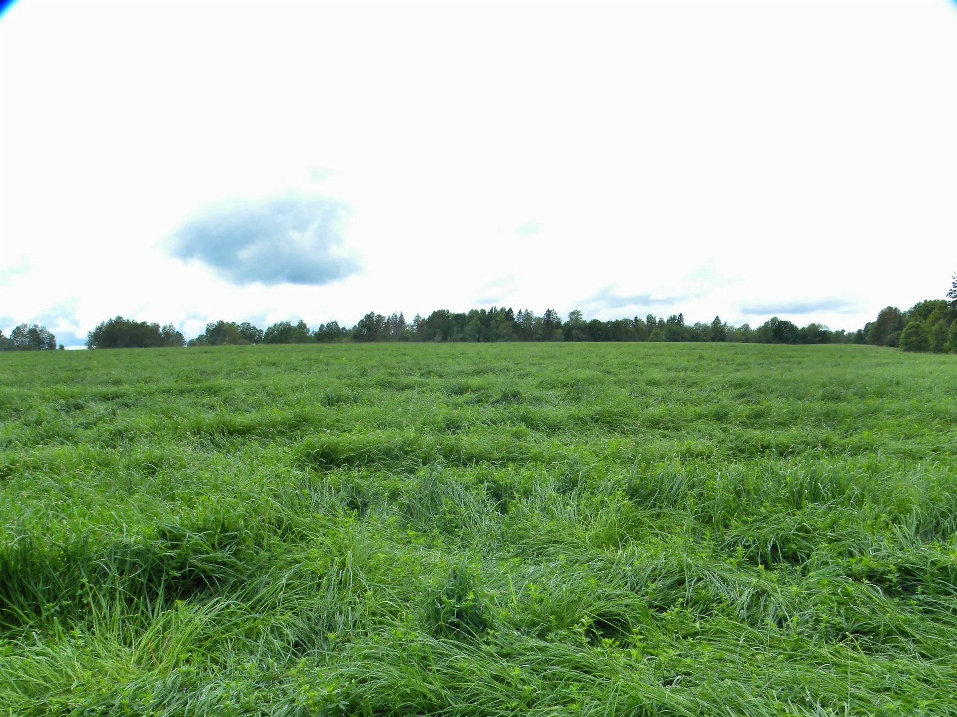 - Sugarhouse Road Burke VT 05871