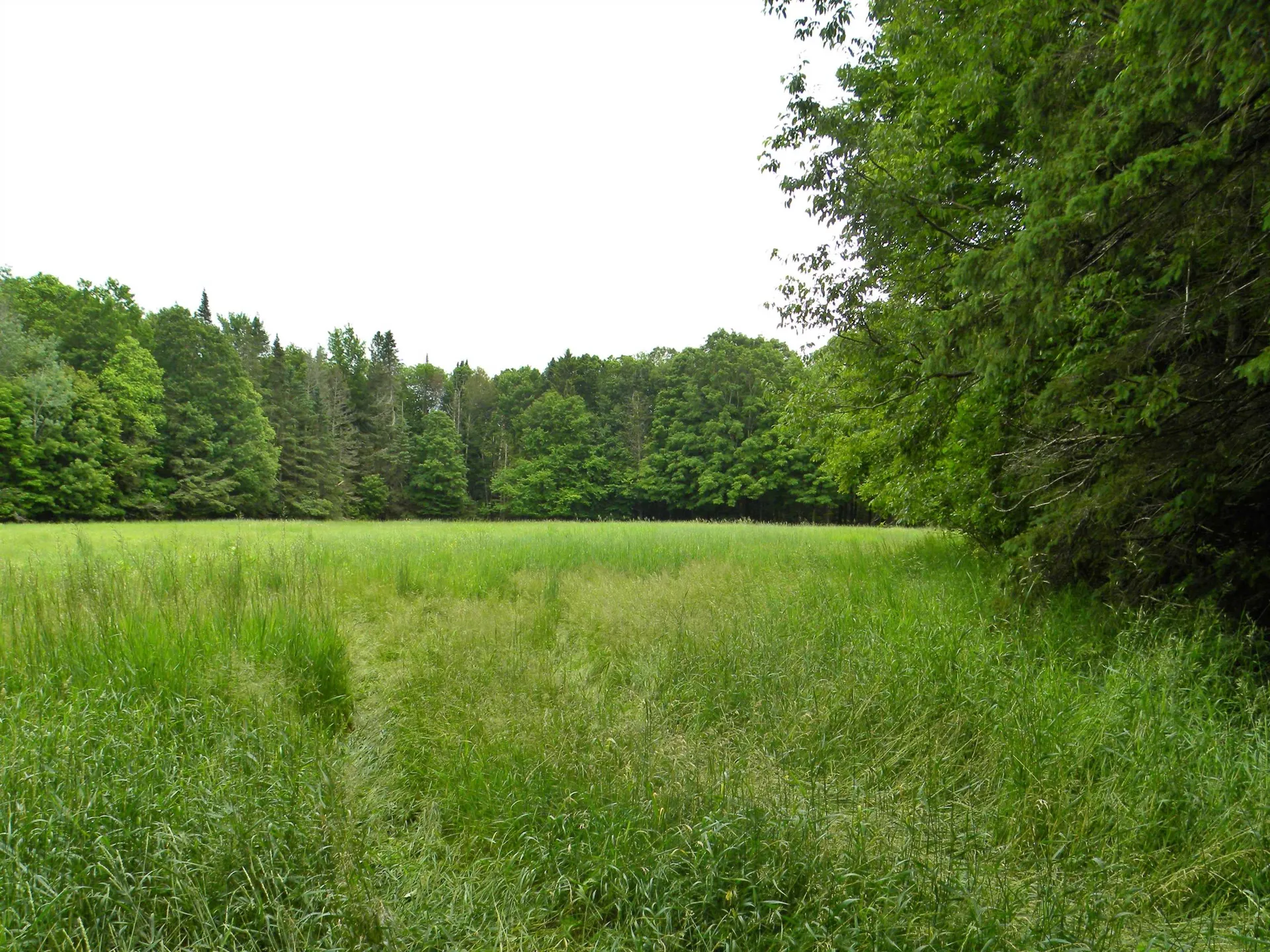 - Sugarhouse Road Burke VT 05871