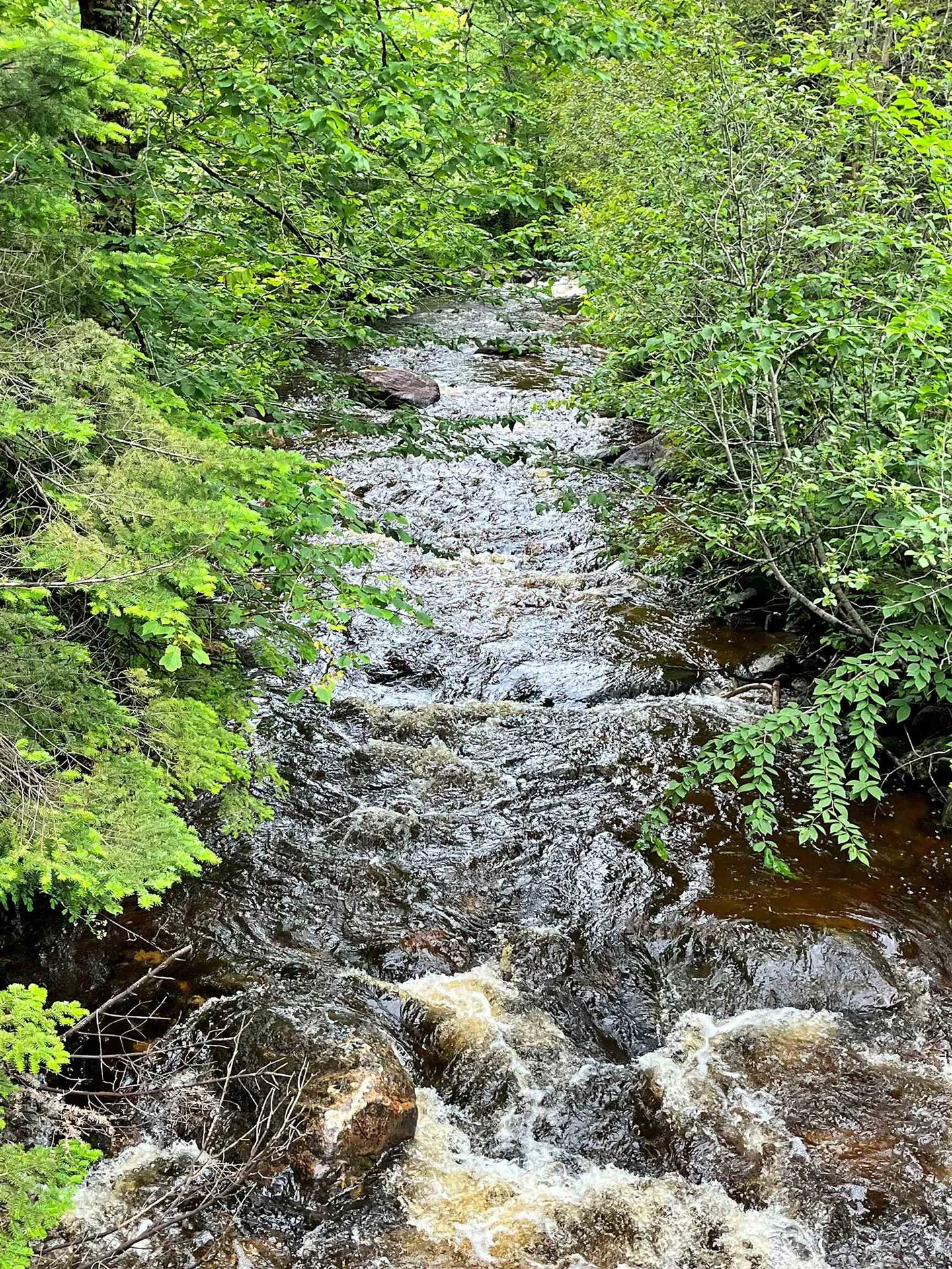 - Sugarhouse Road Burke VT 05871