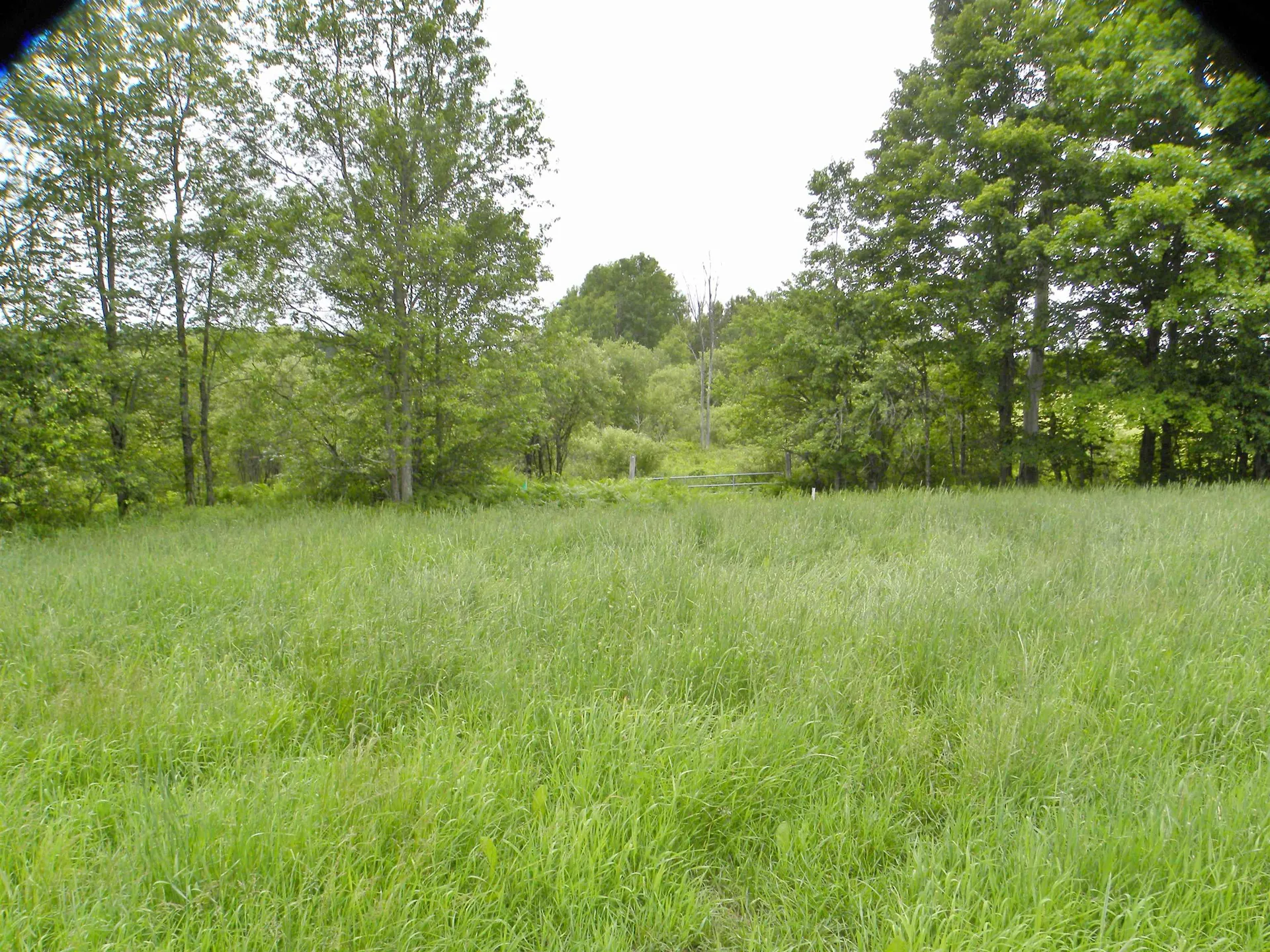 - Sugarhouse Road Burke VT 05871