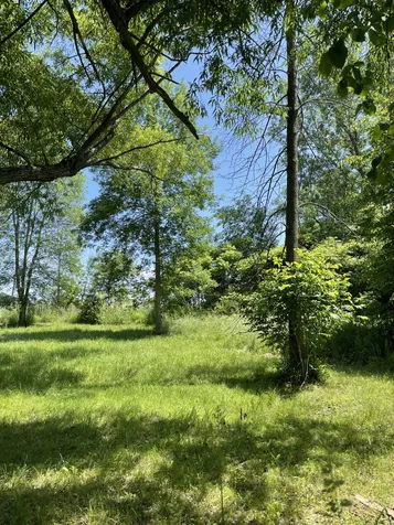 557 Bay Road Alburgh VT 05440