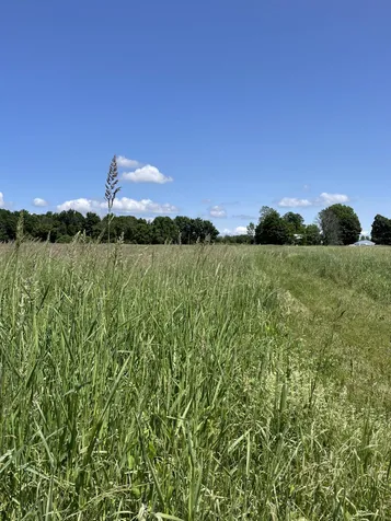 557 Bay Road Alburgh VT 05440