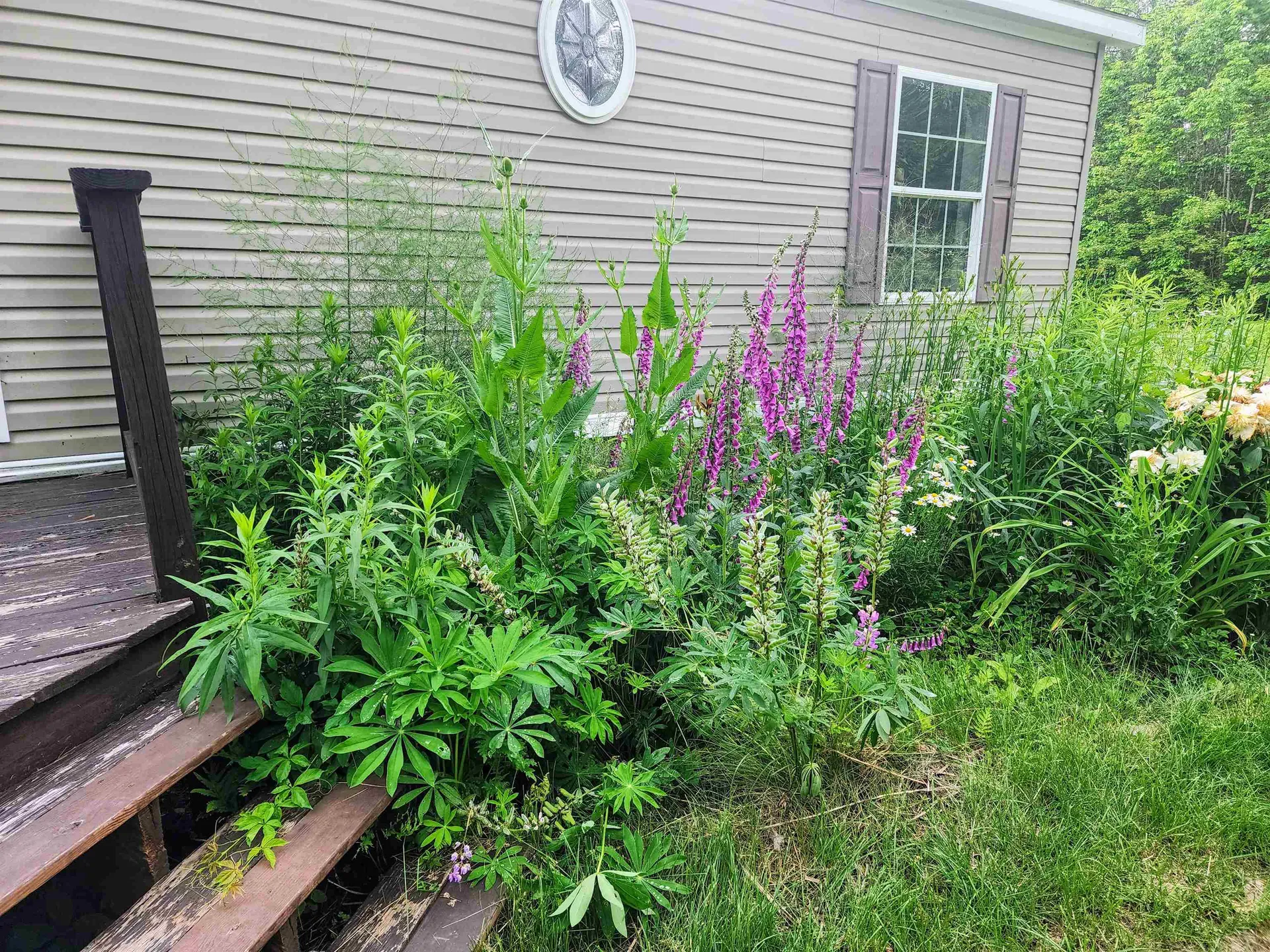 140 Rabbit Path Road Landaff NH 03585
