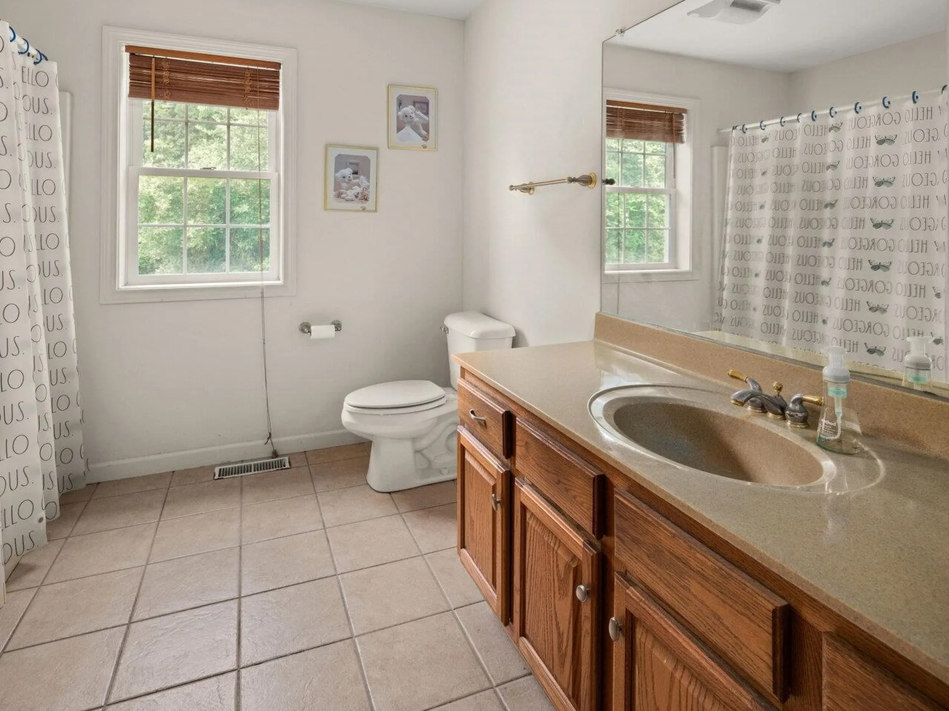 29 Dairy Lane South Burlington VT 05403