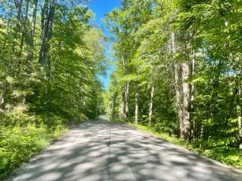 00 Under The Mountain Road Lyman NH 03585