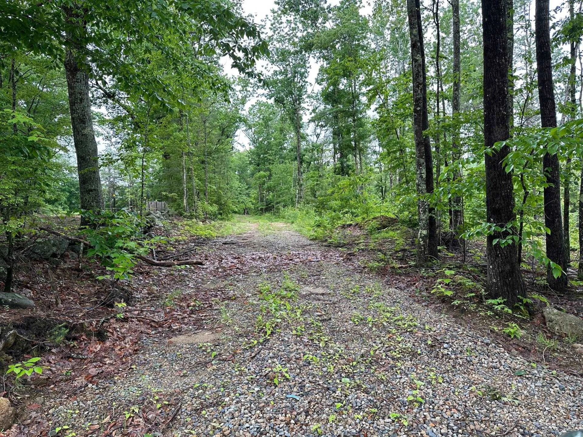 Lot 7 Berry Road New Durham NH 03855
