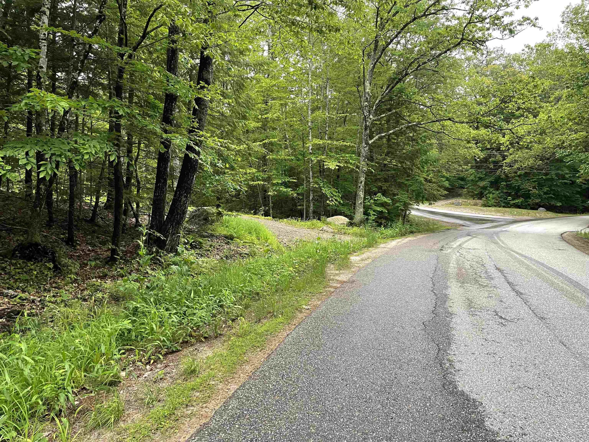 Lot 4 Seven Pines Road Holderness NH 03245