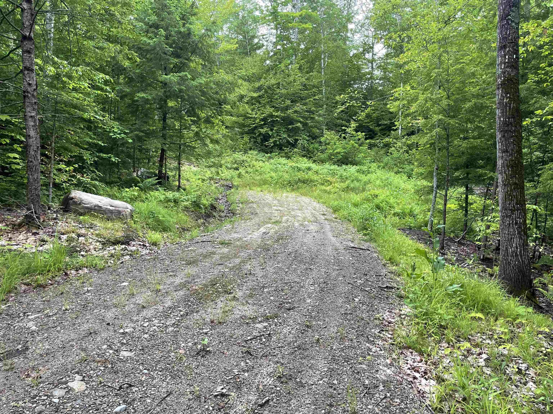 Lot 4 Seven Pines Road Holderness NH 03245