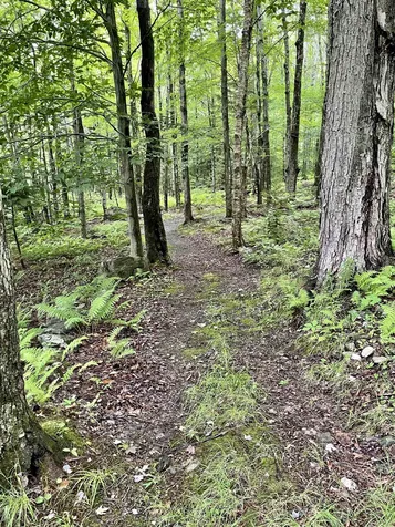 3062 West Hill Road Montgomery VT 05470