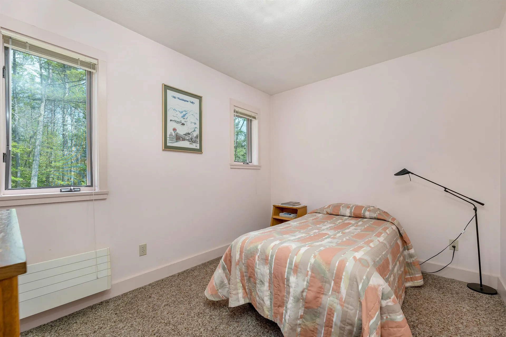 37 O'connor Drive Albany NH 03818