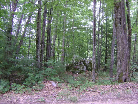 00 Bergen Street Moultonborough NH 03254
