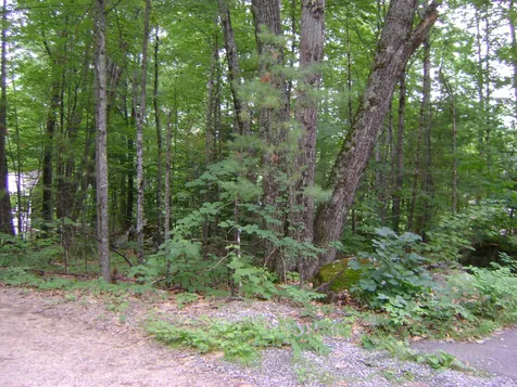 00 Bergen Street Moultonborough NH 03254