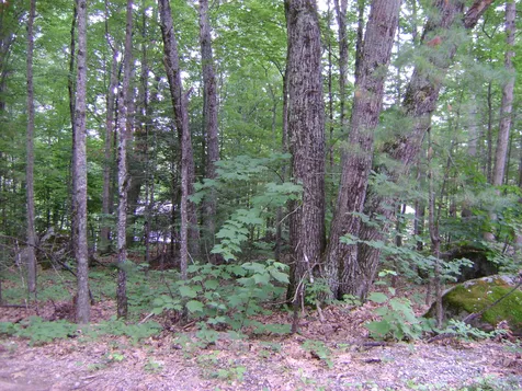 00 Bergen Street Moultonborough NH 03254