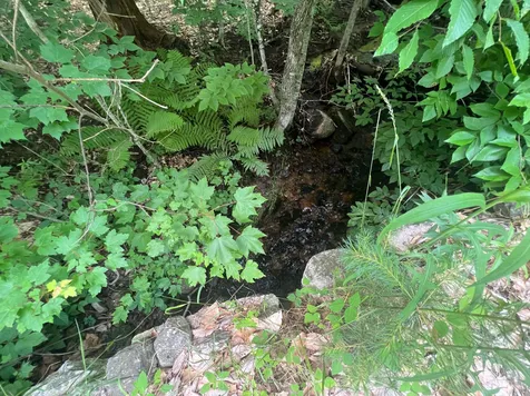 393 Powder Mill Road Alton NH 03809