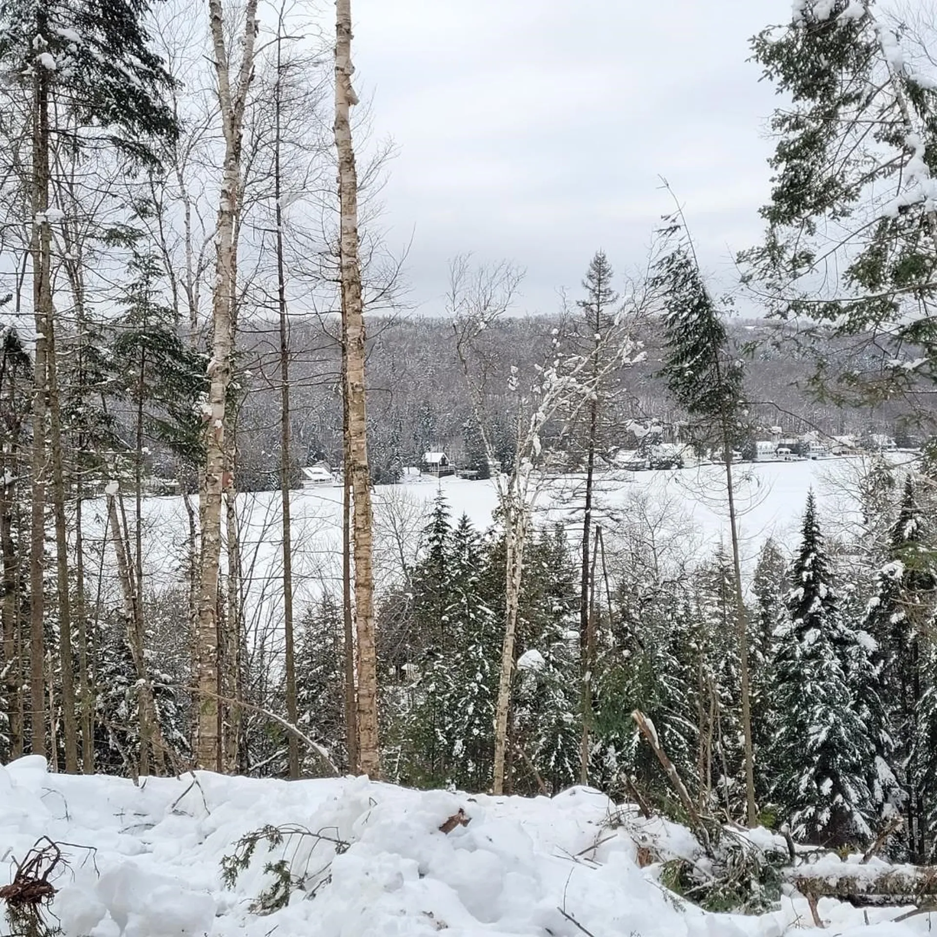 Off Bayley Hazen Road Danville VT 05828