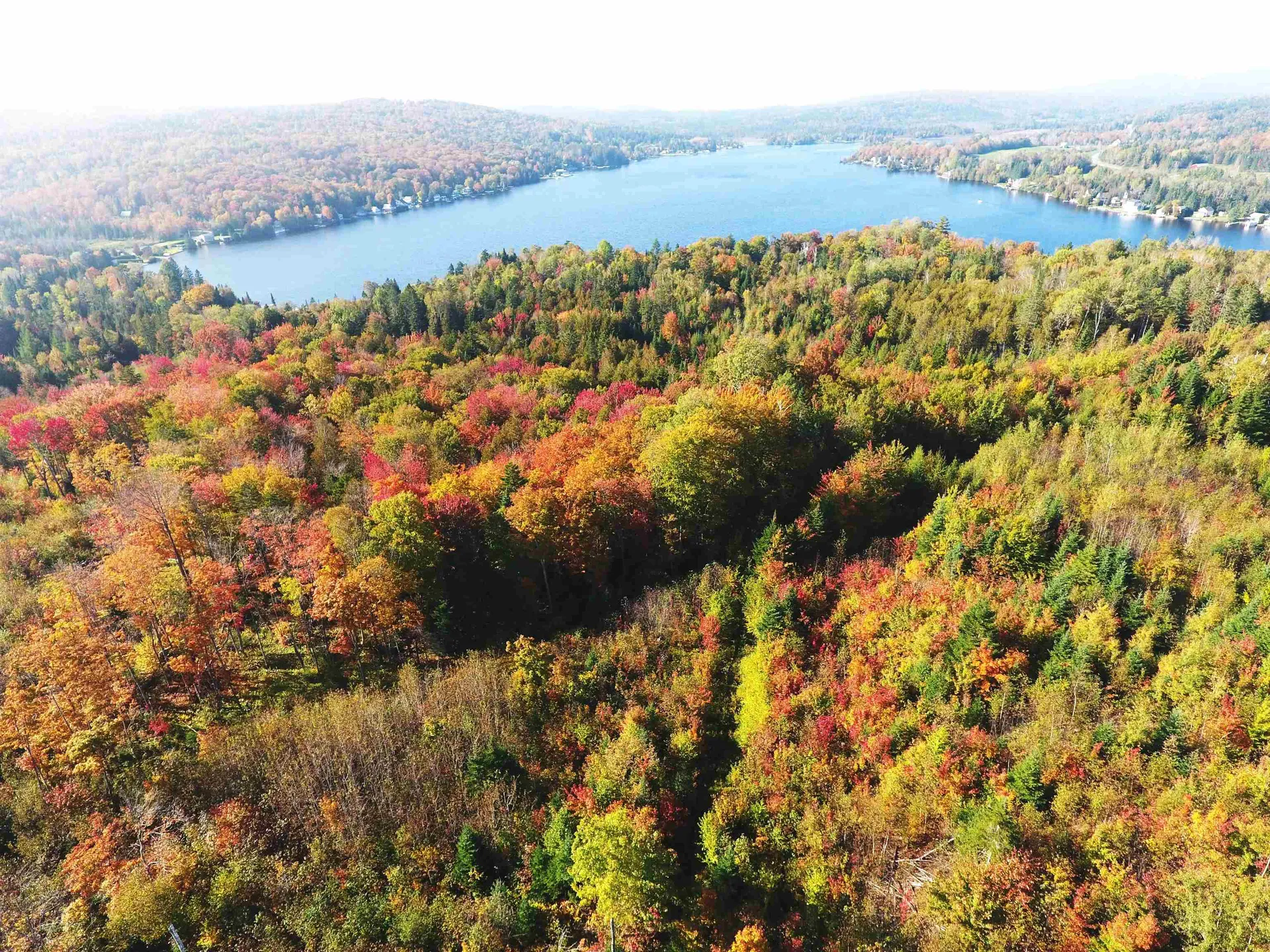 Off Bayley Hazen Road Danville VT 05828