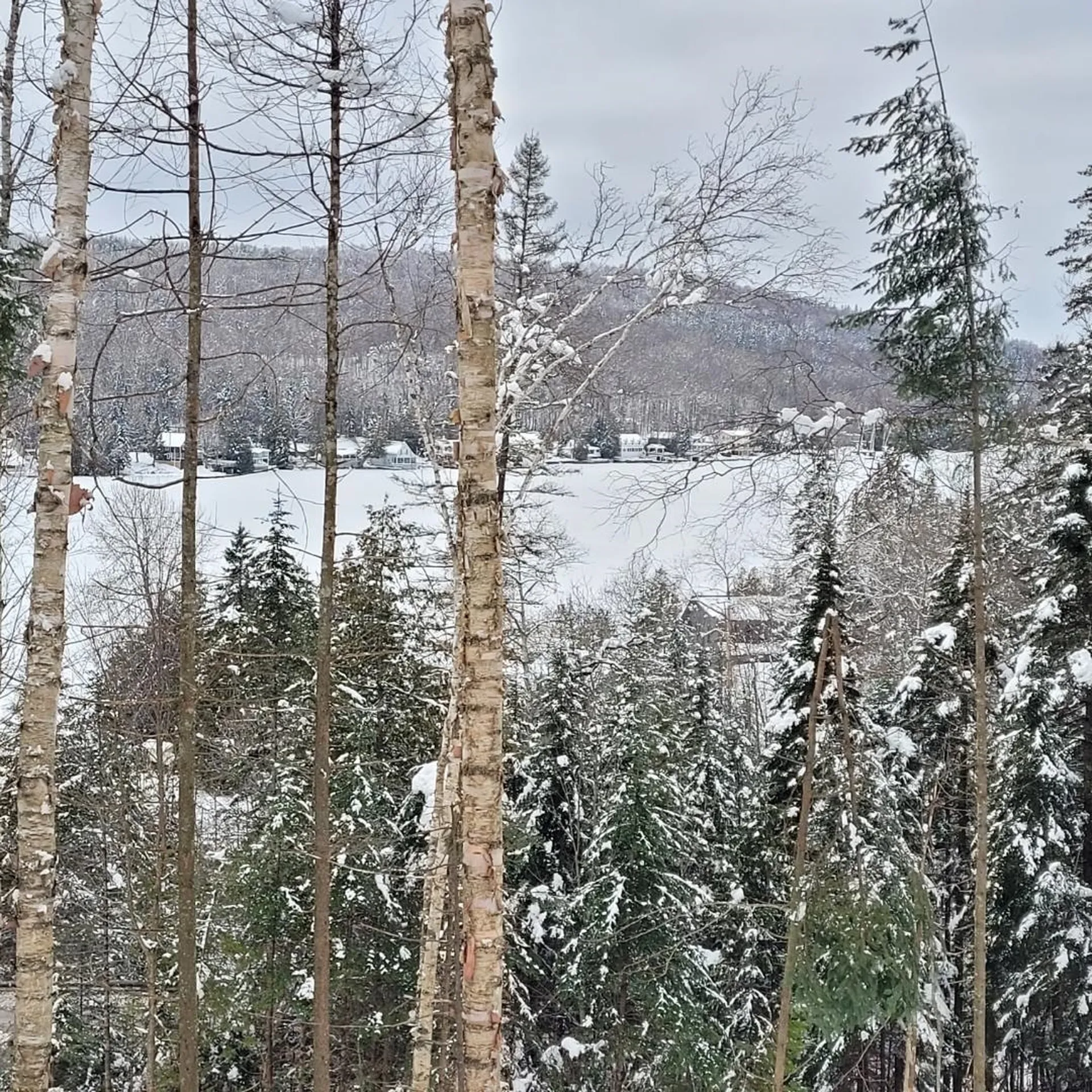 Off Bayley Hazen Road Danville VT 05828