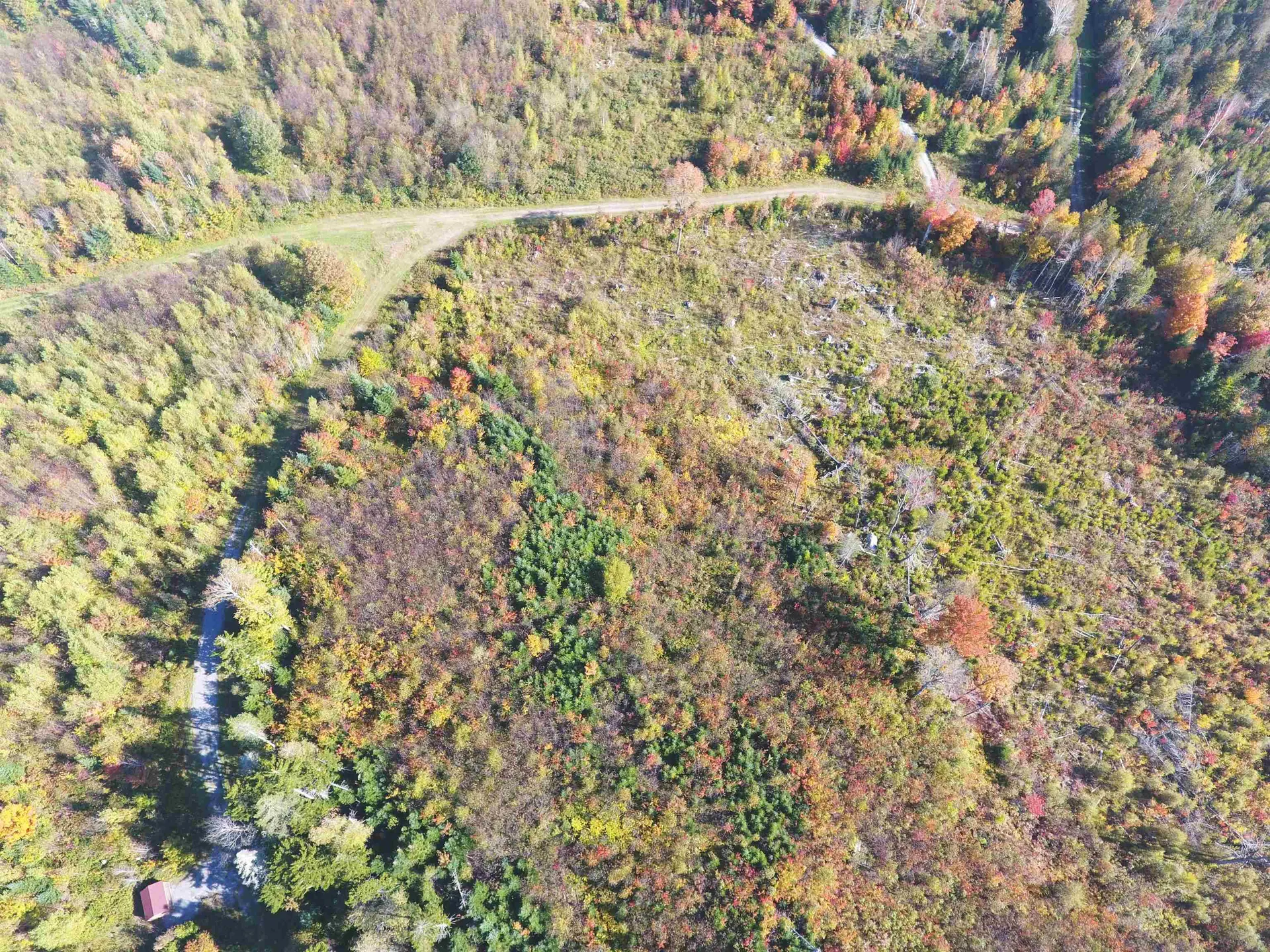 Off Bayley Hazen Road Danville VT 05828