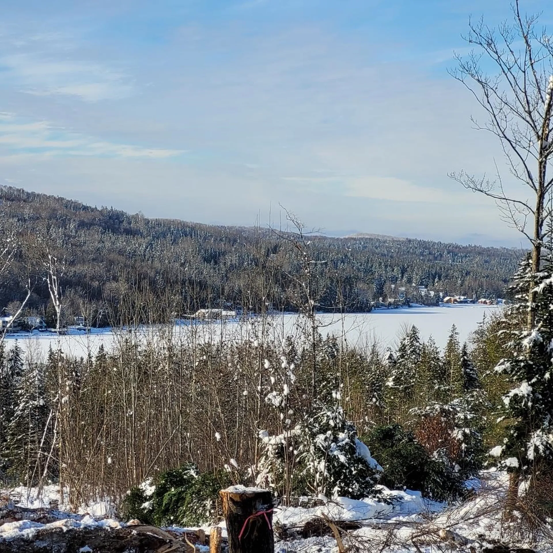 Off Bayley Hazen Road Danville VT 05828