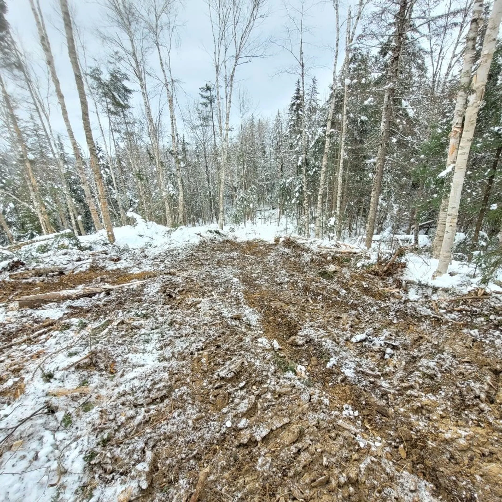 Off Bayley Hazen Road Danville VT 05828