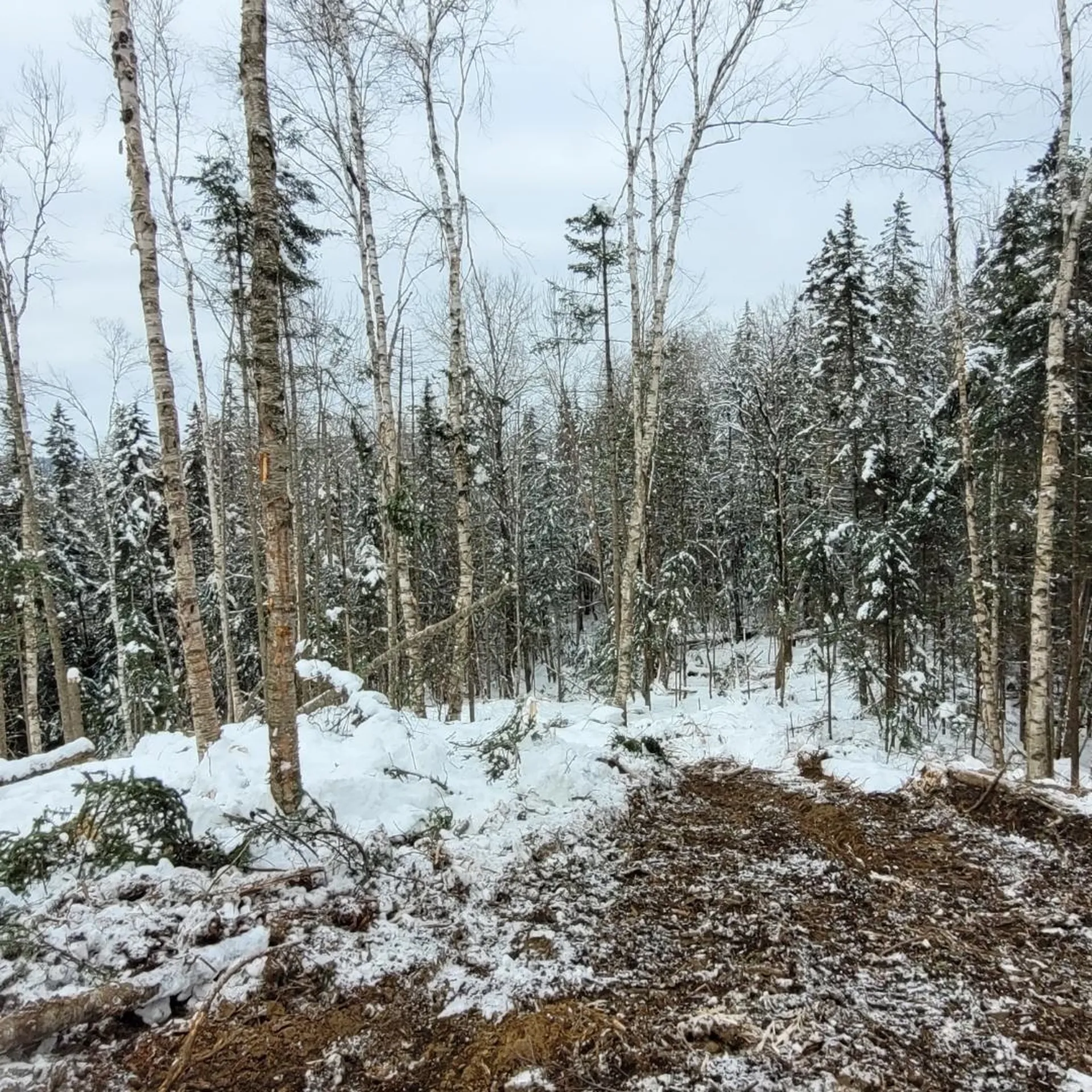 Off Bayley Hazen Road Danville VT 05828