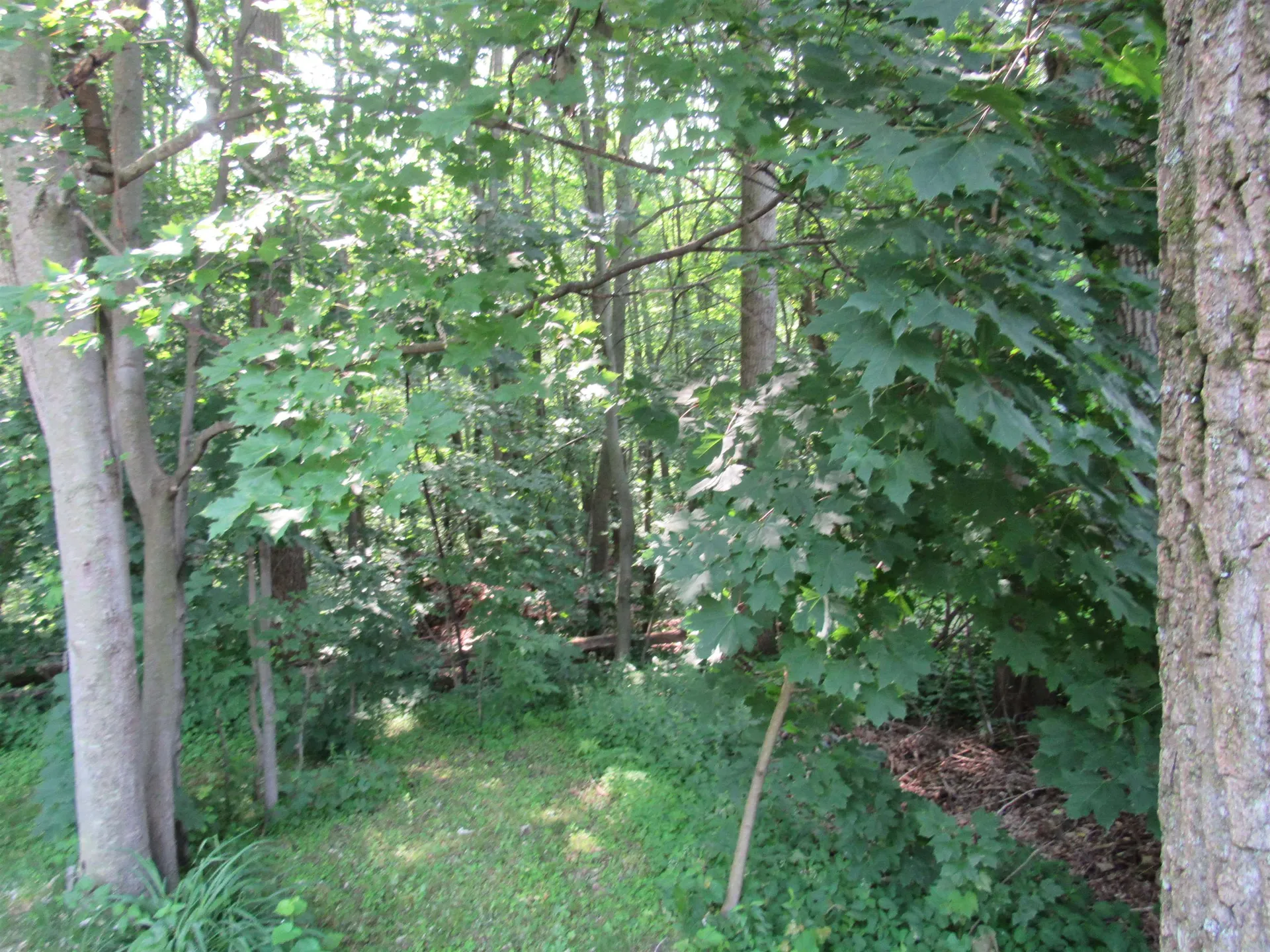 100 Lavoie Avenue Swanton VT 05488