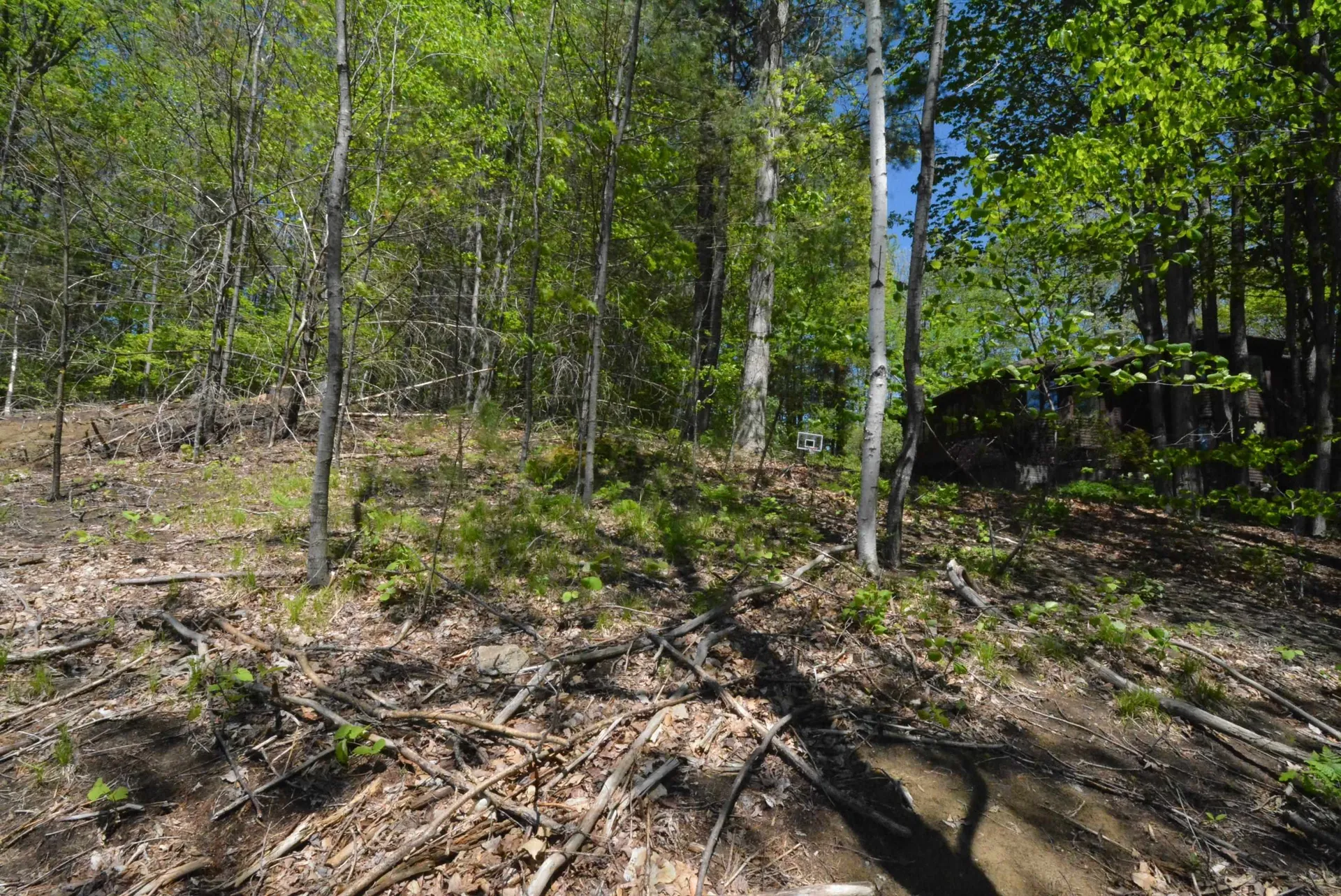 10 Windridge Road Essex Junction VT 05452