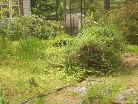 23 Harvey Brook Road Wolfeboro NH 03894