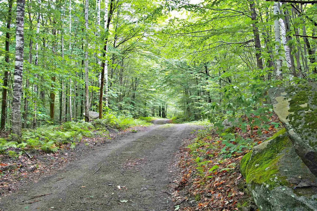 1980 Wilderness Road Lunenburg VT 05906