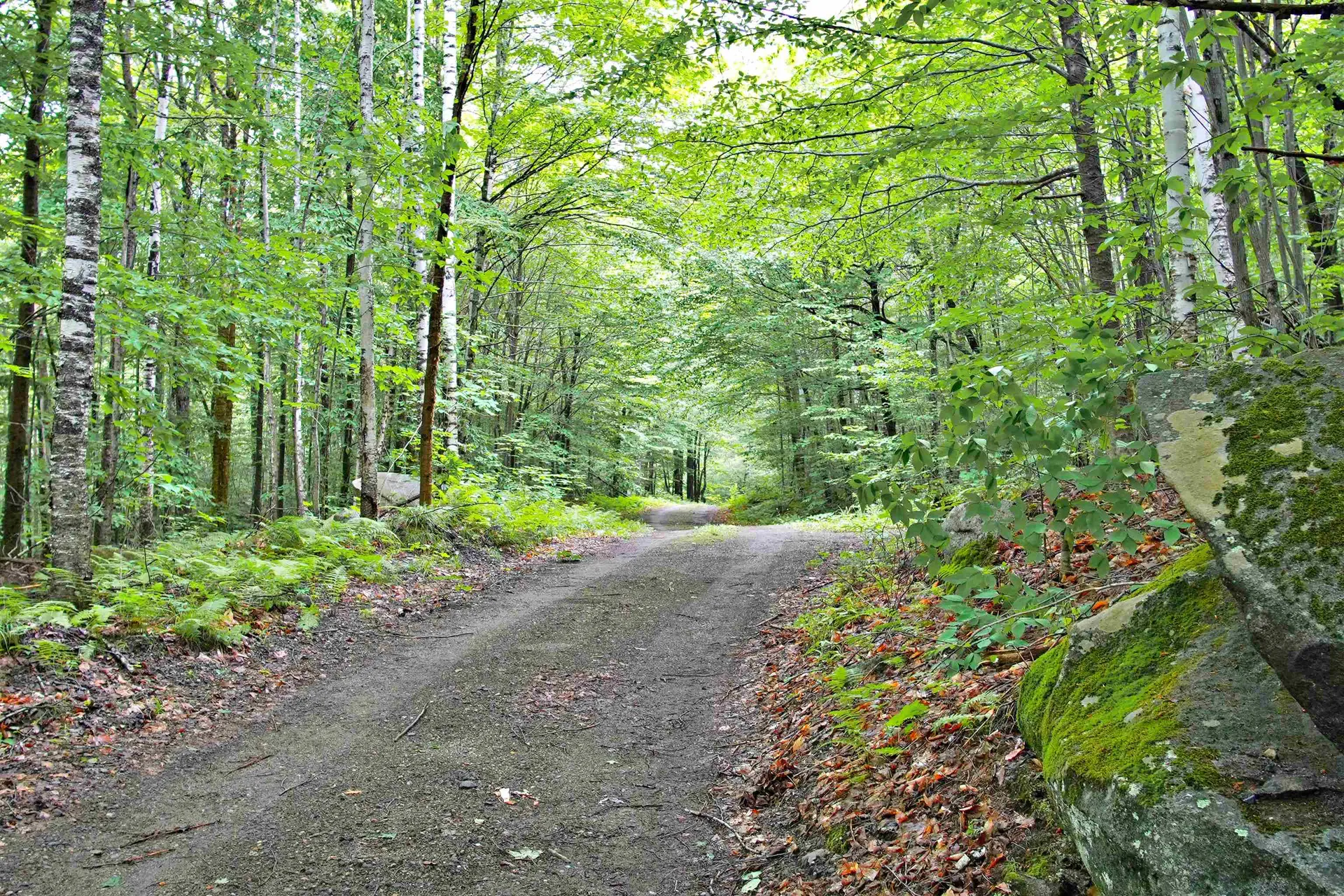 1980 Wilderness Road Lunenburg VT 05906