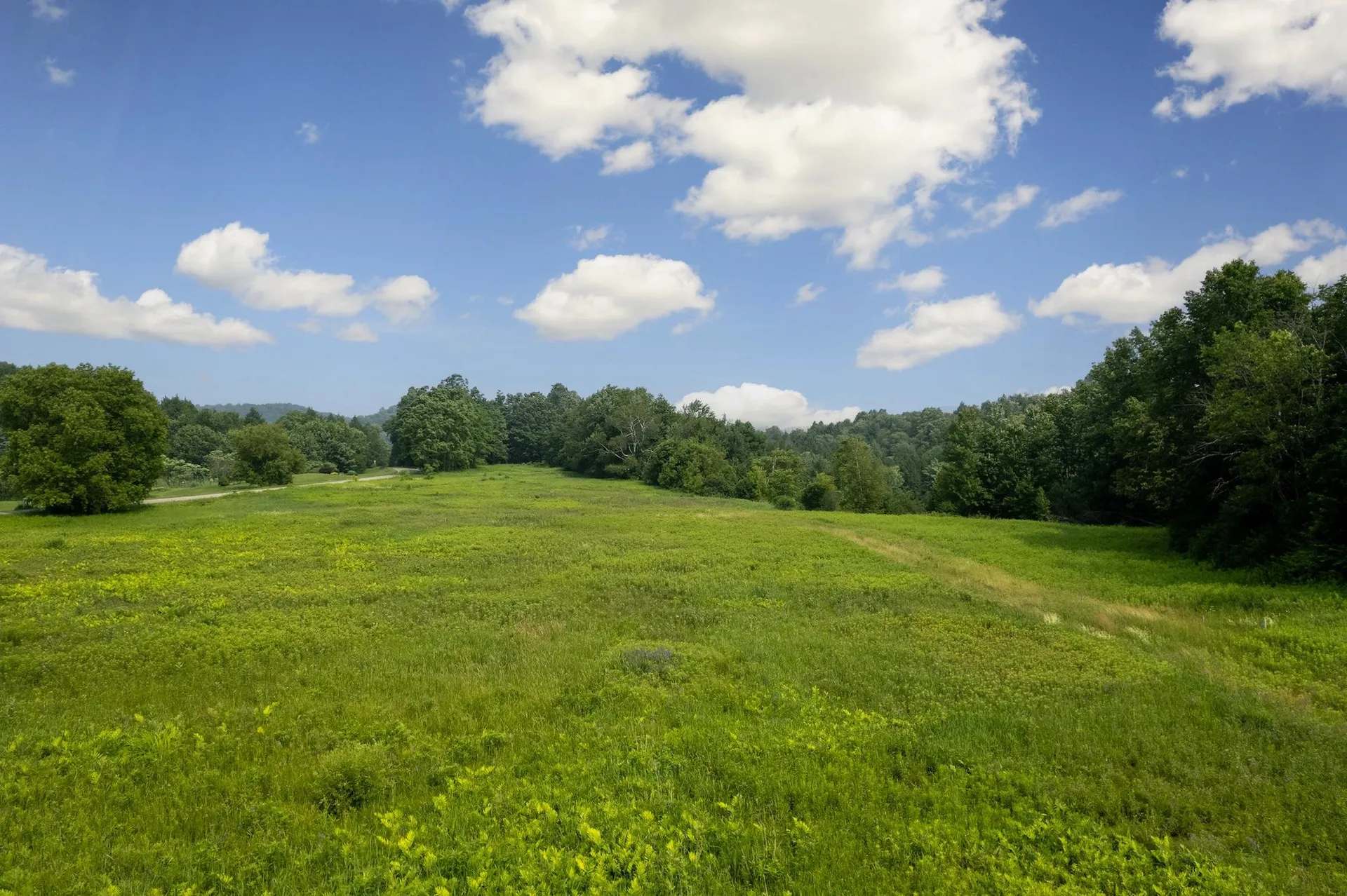 Gilman Road Hinesburg VT 05461