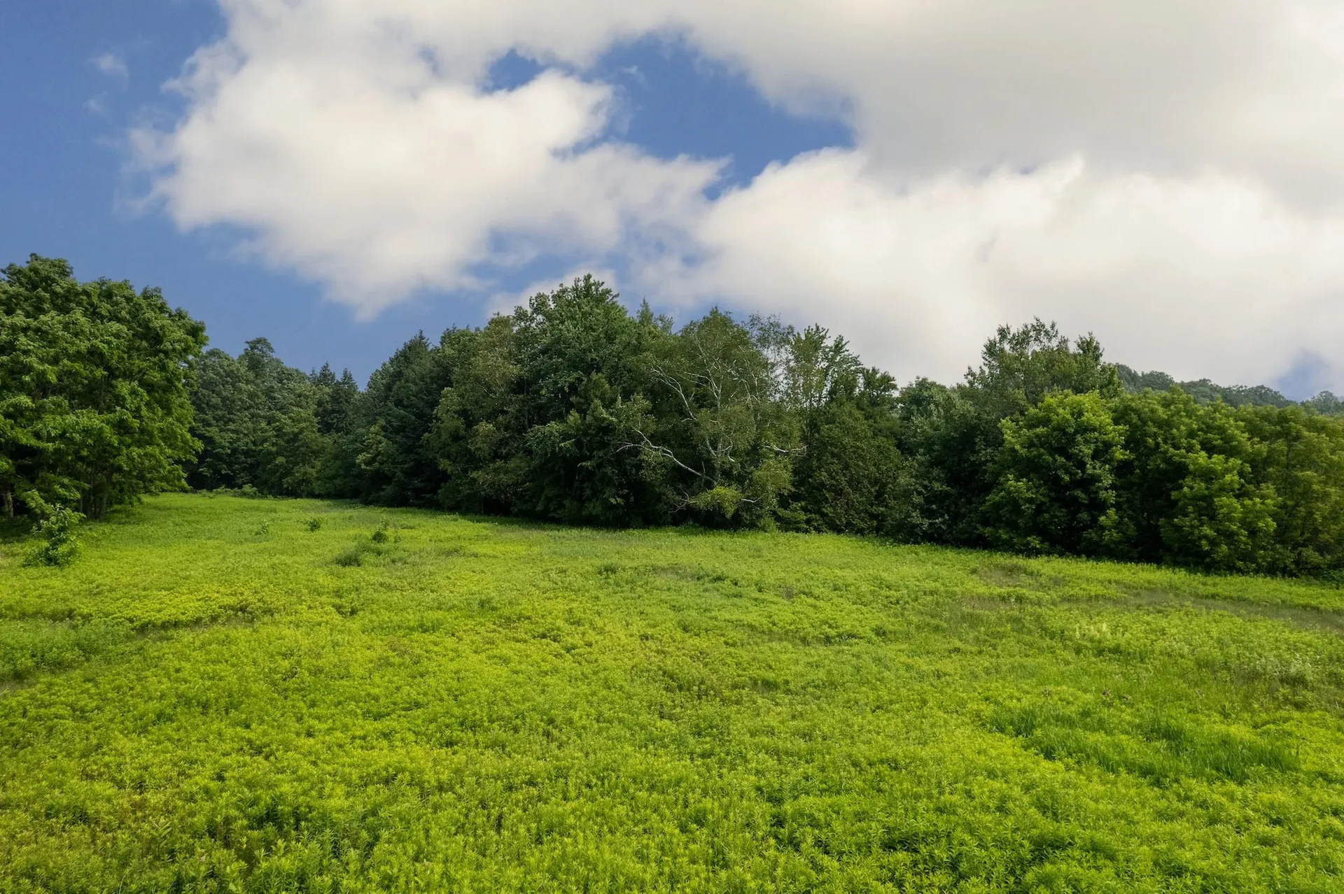 Gilman Road Hinesburg VT 05461
