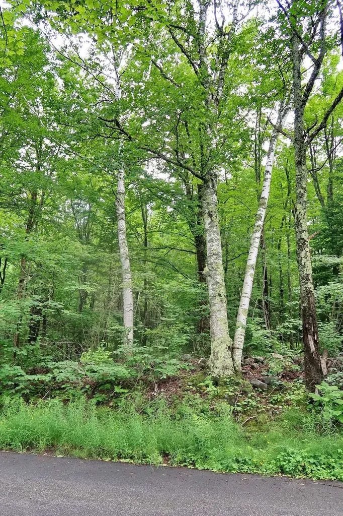 Tbd Easton Road Sugar Hill NH 03586