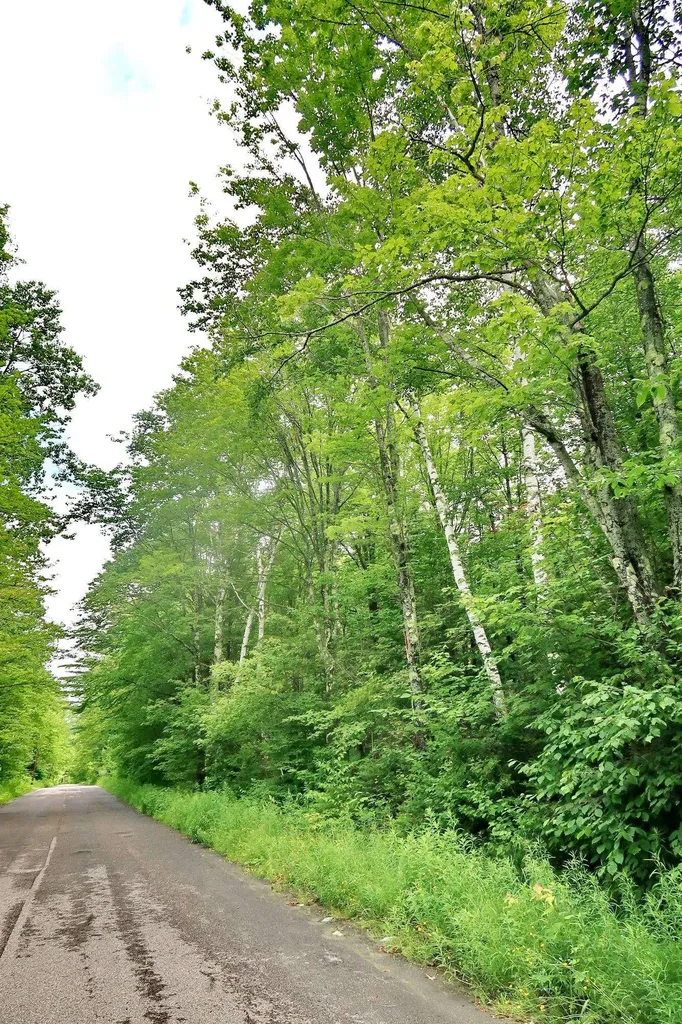 Tbd Easton Road Sugar Hill NH 03586