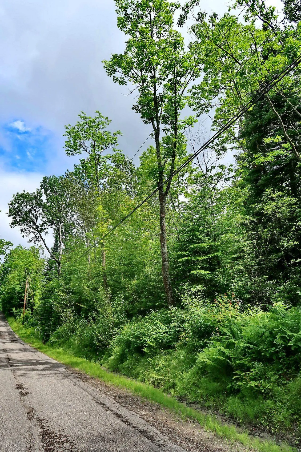 Tbd Easton Road Sugar Hill NH 03586