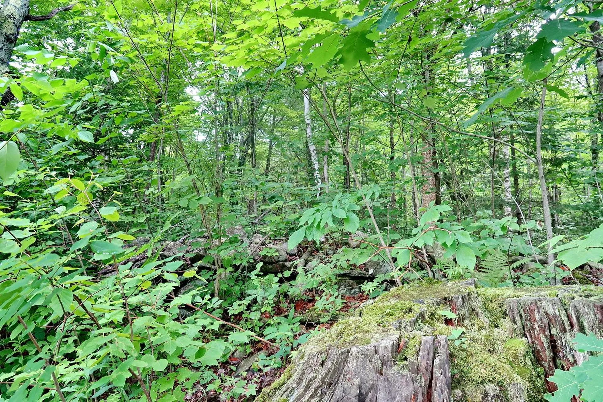 Tbd Easton Road Sugar Hill NH 03586