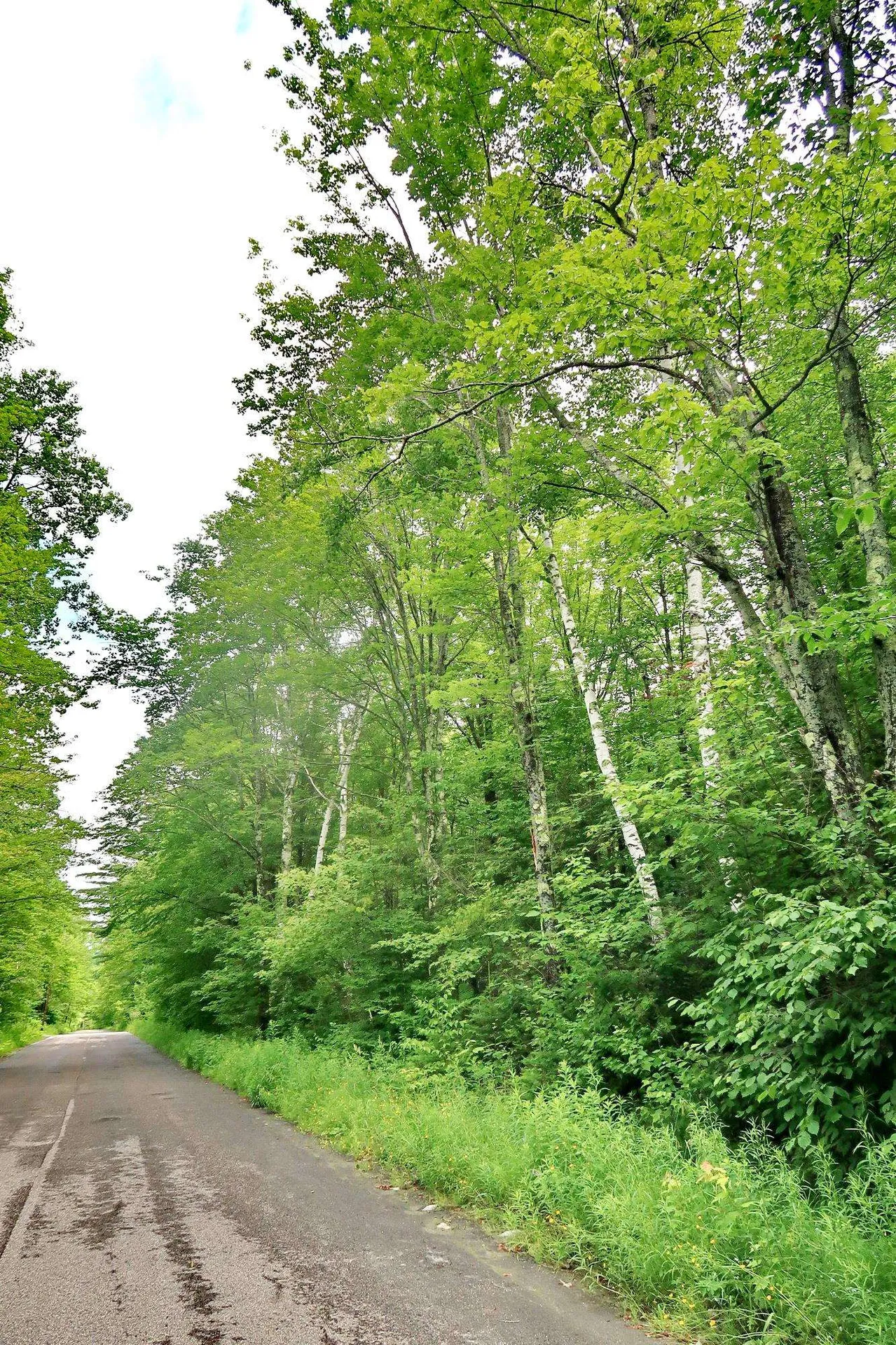 Tbd Easton Road Sugar Hill NH 03586