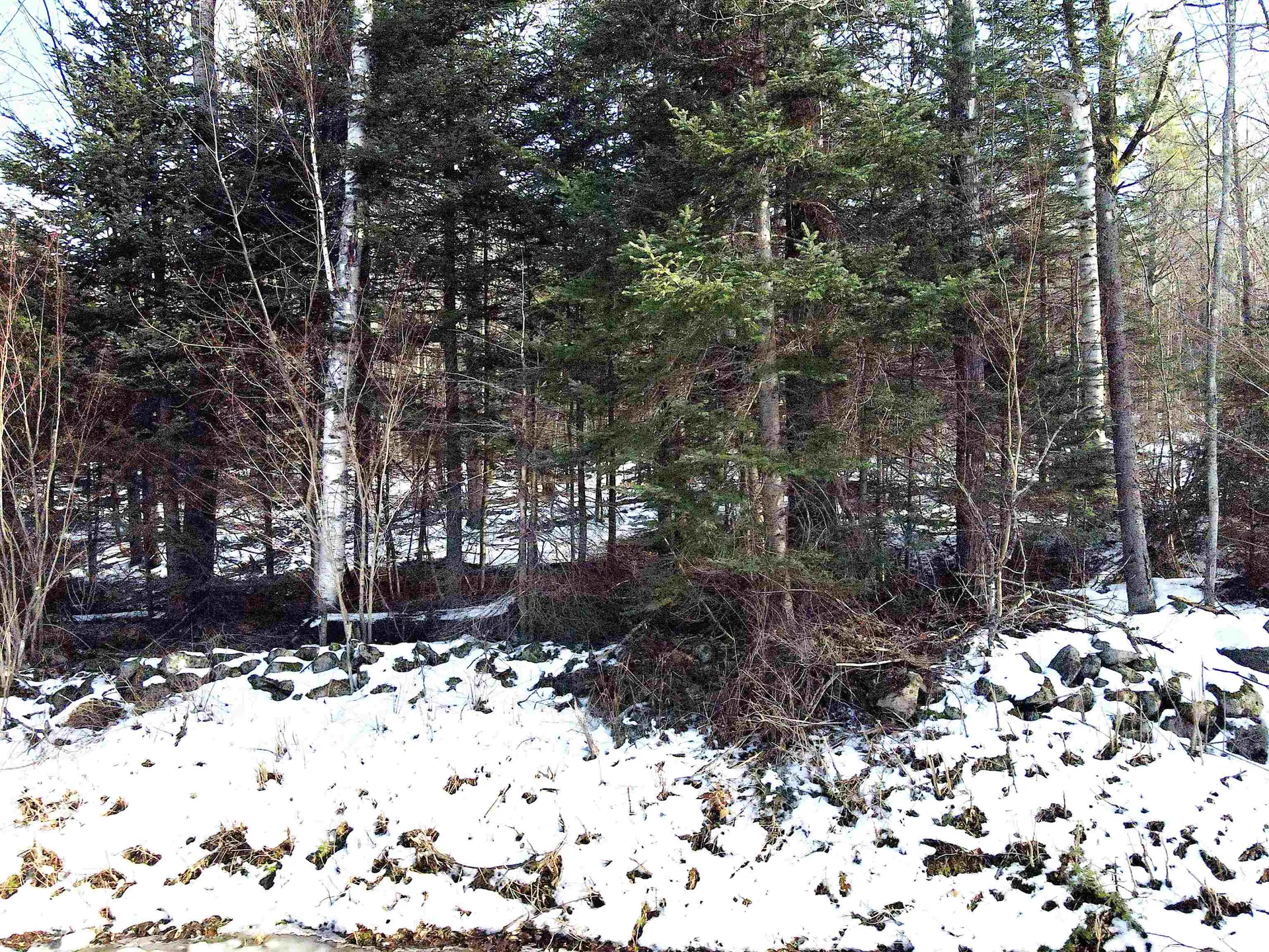 Tbd Easton Road Sugar Hill NH 03586