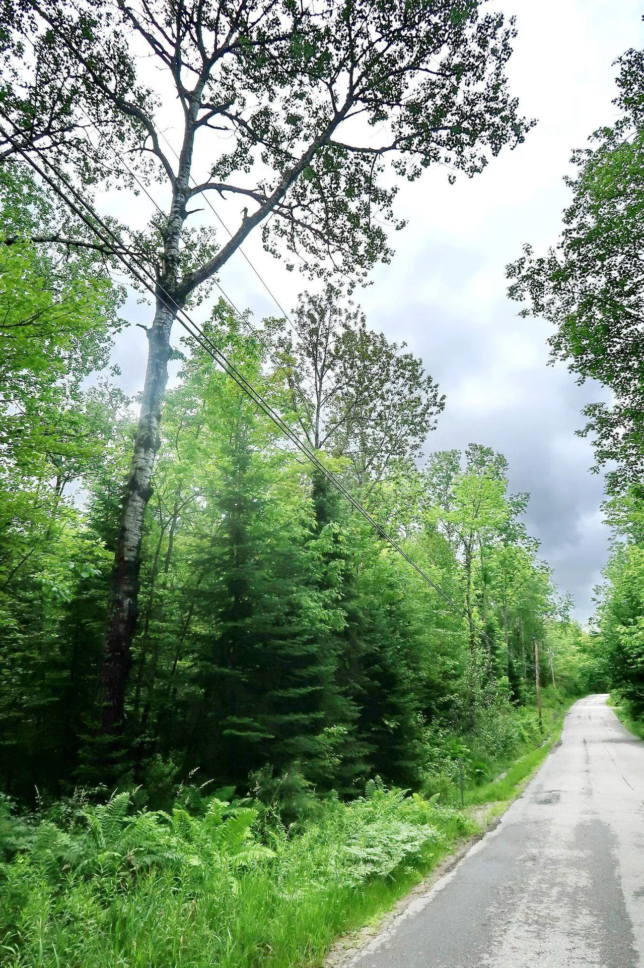 Tbd Easton Road Sugar Hill NH 03586